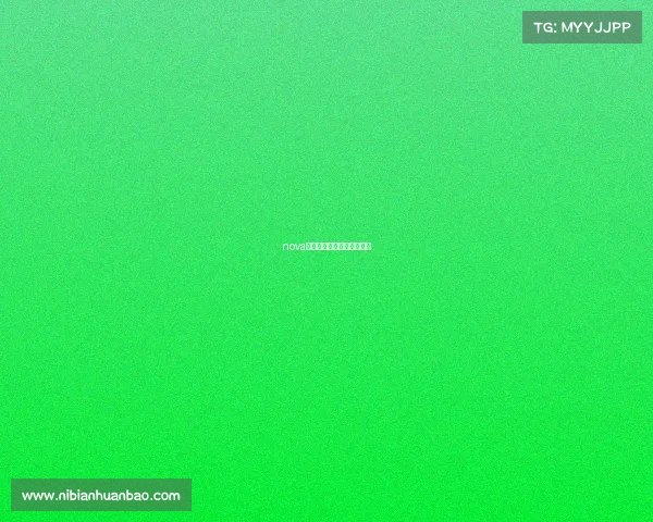 nova电子竞技俱乐部是哪个国家 nova电子竞技俱乐部是哪个国家