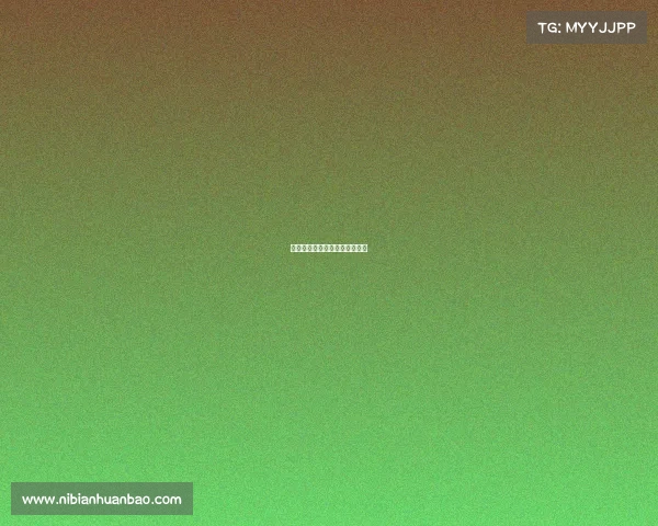 极速狂飙虚拟赛道上的巅峰对决 极速狂飙虚拟赛道上的巅峰对决