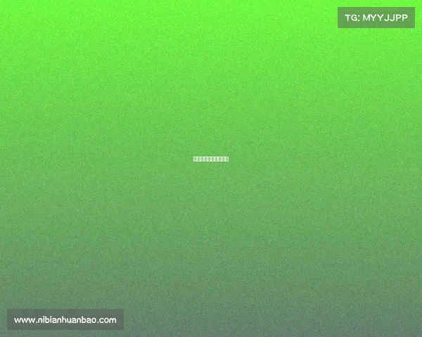 小忍的游戏叫什么名字